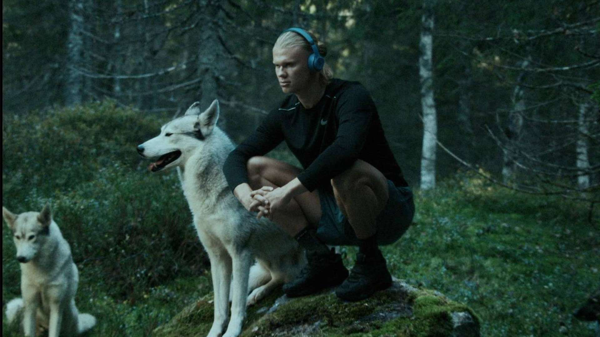 增长趋势 增长趋势